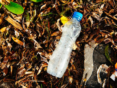 plastic on a beach Greg Armfield WW275057