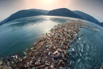 an island of trash in a body of water