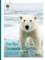 Polar Bear CAP Scorecard Brochure