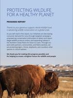 Protecting wildlife for a healthy planet Brochure