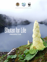 Bhutan for Life Prospectus Brochure
