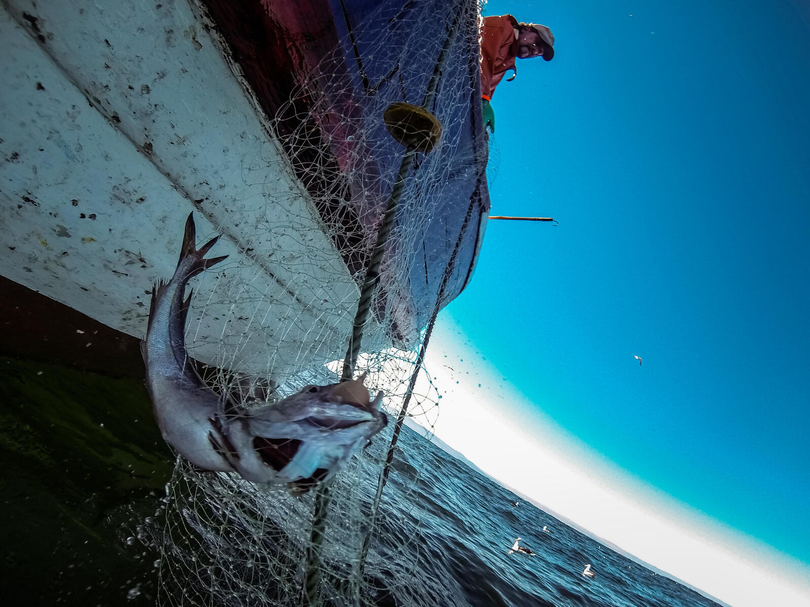 Different fishing techniques and their impacts on the environment « World  Ocean Review