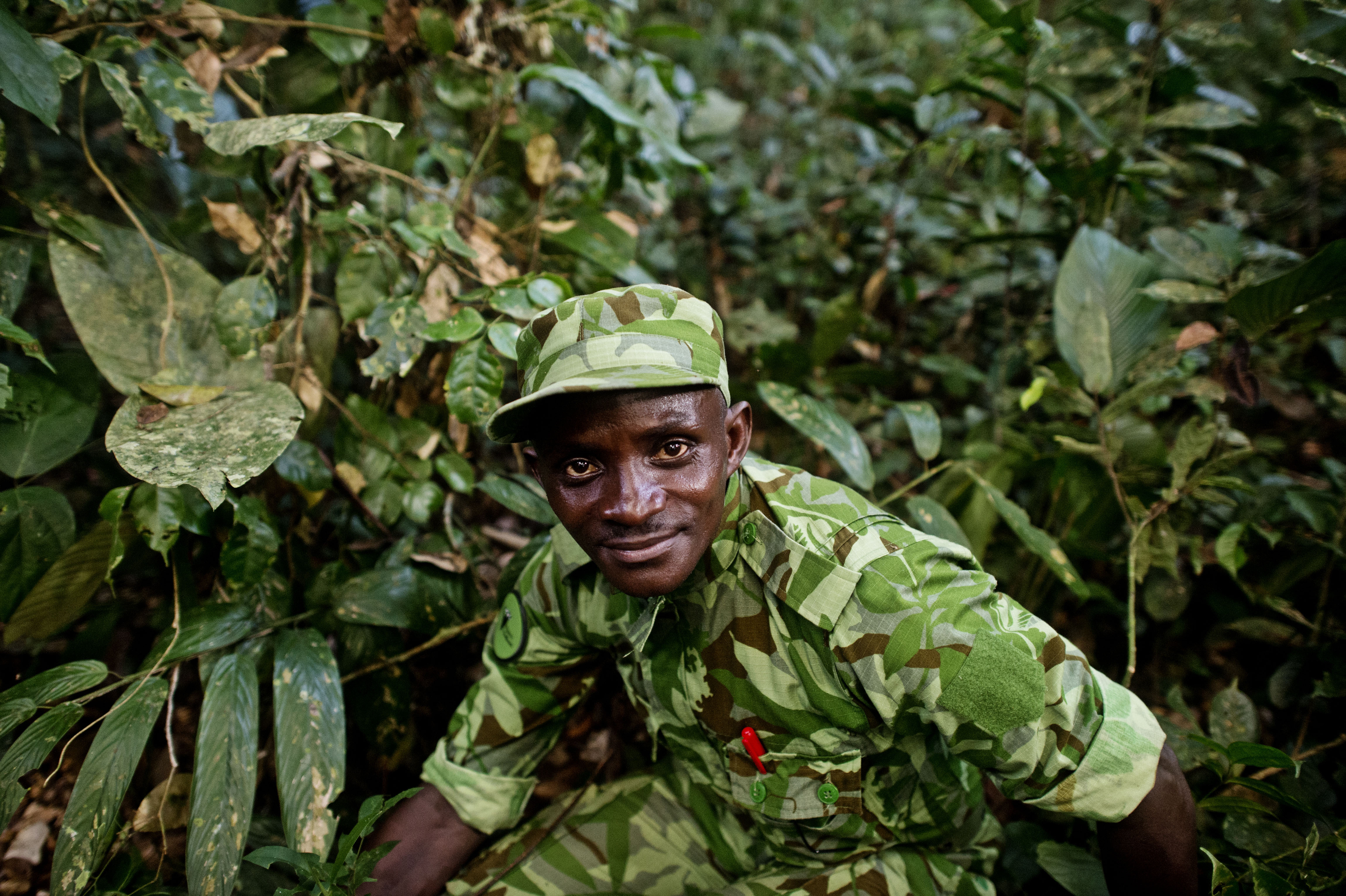 Gabon eco guard