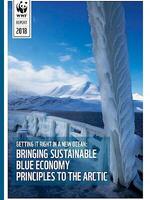 Getting it right in a new ocean - report Brochure