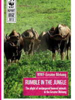 The Plight of Endangered Hooved Animals in the Greater Mekong Brochure