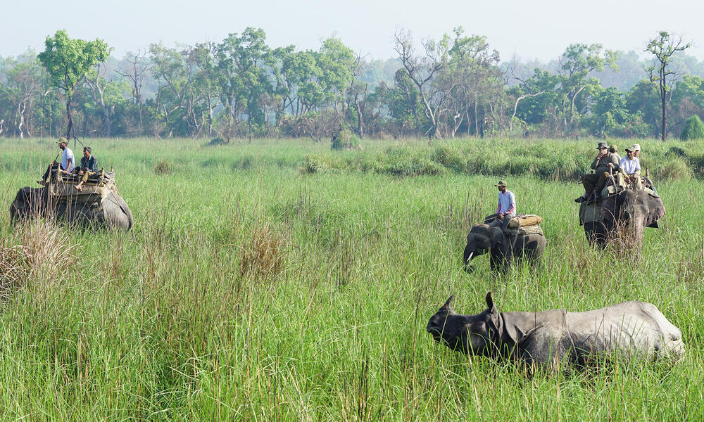 Once the rhino has been located, a team of veterinarians head to the field, where they’ll dart the rhino and prepare it to be moved.   
