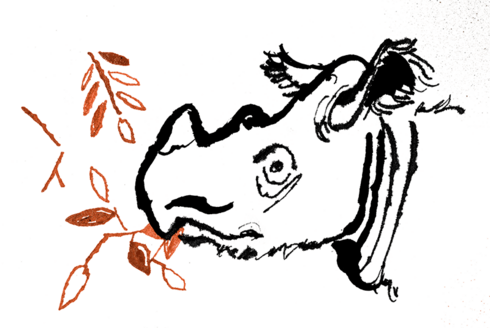 Drawing of Sumatran rhino eating leaves