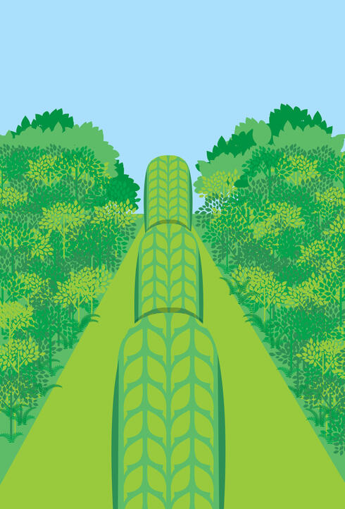 Illustration of tires in a forest