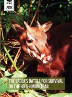 The Saola’s Battle for Survival on the Ho Chi Minh Trail Brochure