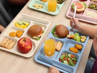 Food waste audits: Key first step to reducing food loss at schools