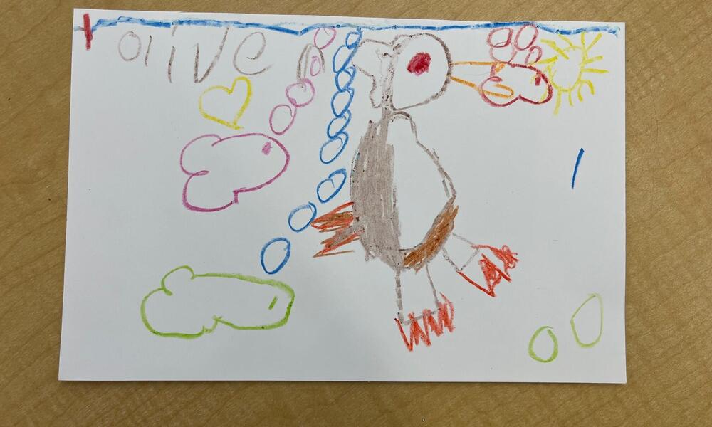 overhead view of drawing of seabird by kindergartener in Sitka, Alaska