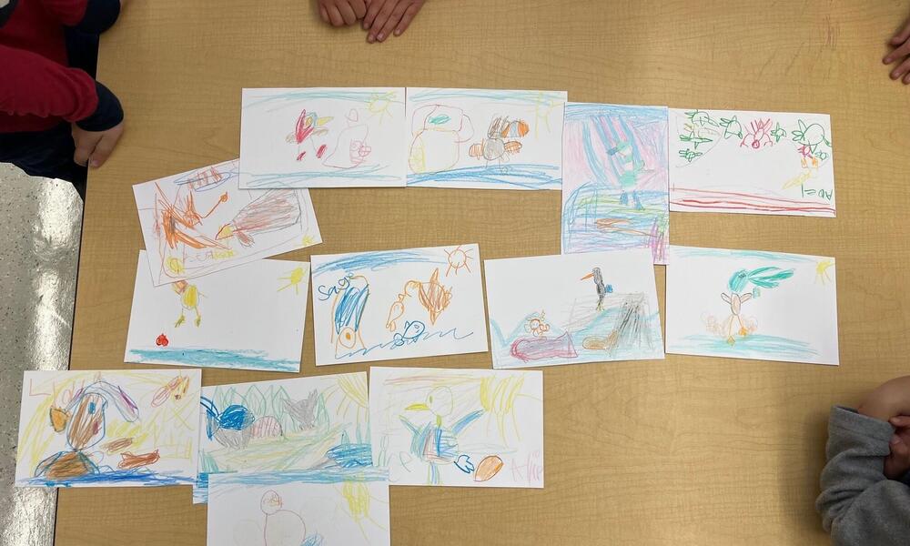 overhead view of drawings of seabirds by kindergarten class in Sitka, Alaska