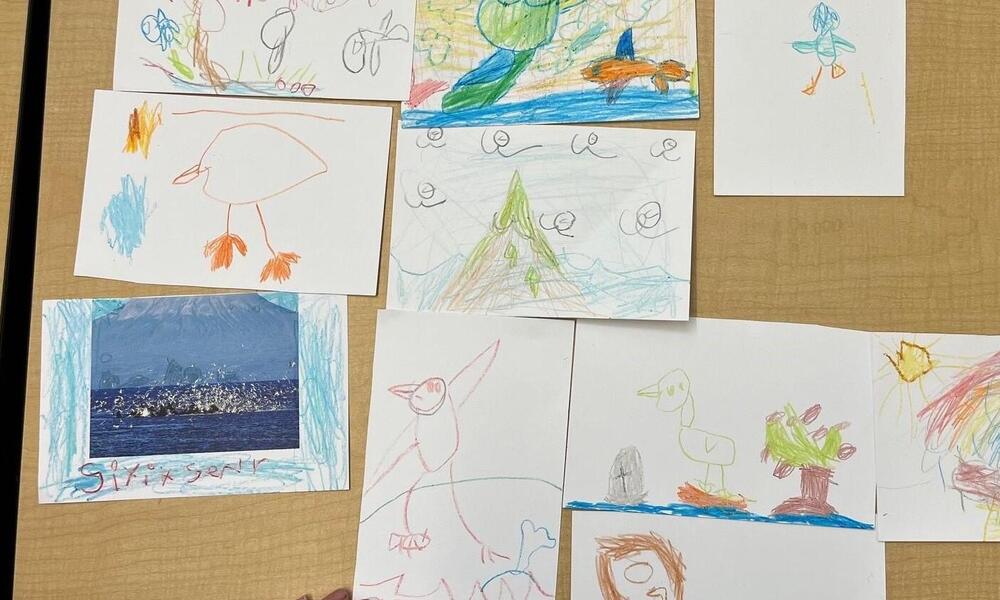 overhead view of drawings of seabirds by kindergarten class in Sitka, Alaska