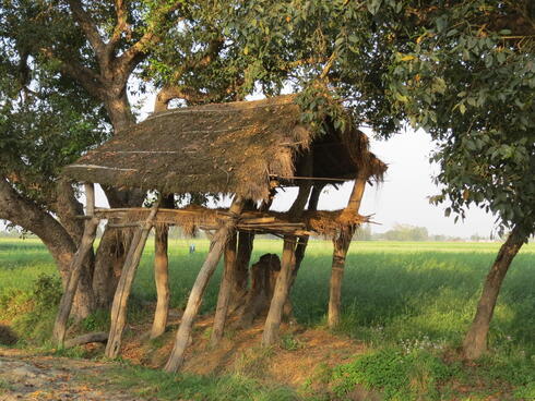 A shelter in a field.