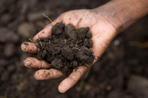 soil in hand Simon Rawles WW211984