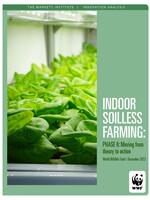 Indoor Soilless Farming: Phase II: Moving from theory to action Brochure