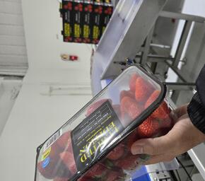 a person holds up a package of strawberries
