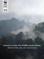 Sumatra’s Forests, Their Wildlife and the Climate Brochure