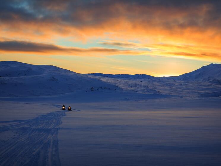 Snow capped mountain and field at sunrise