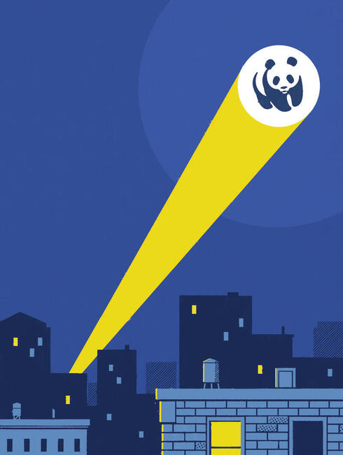 WWF signal above city