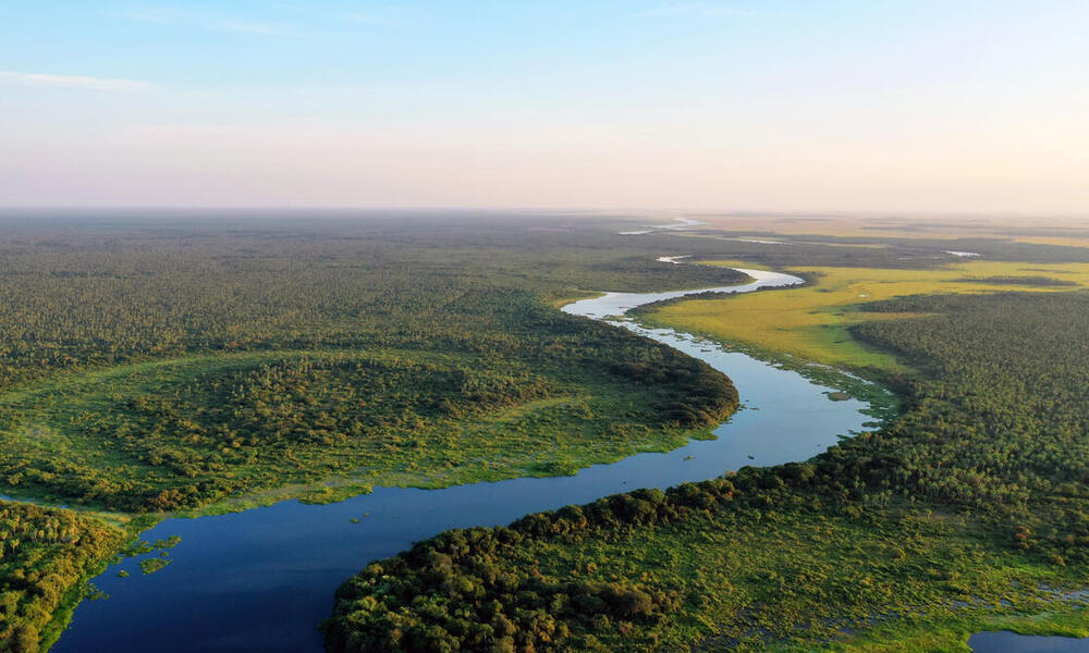 Aerial view of a blue river snaking through green lands