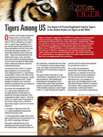 Tigers Among Us Brochure