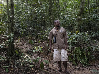 Ossolo Dacko, a BaAka tracker for the western lowland gorilla habituation program, Dzanga-Sangha Special Reserve, Central African Republic