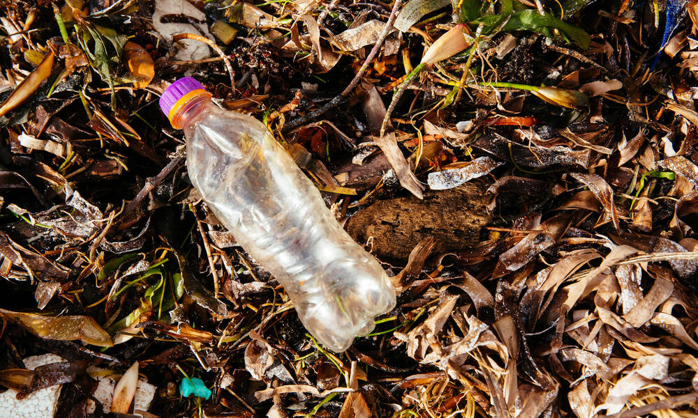 chatarra ala atómico El problema del plástico en la naturaleza y cómo puedes ayudar | Historias  | Descubre WWF