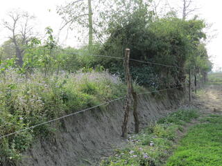 Newly installed fence in the Karnali corridor