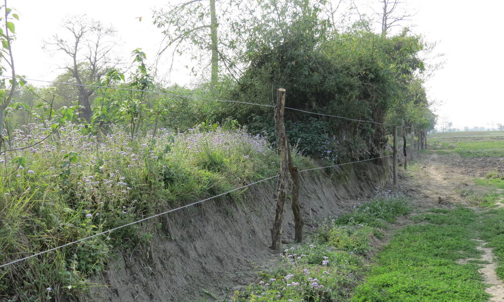 Newly installed fence in the Karnali corridor