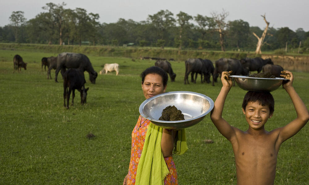 A woman and boy collecting manure in Chitwan National Park Buffer Zone. Villagers can use the collected manure to produce methane gas in order to cook with rather than use firewood. 