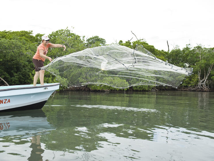 A woman throwing a fishing net in Belize.