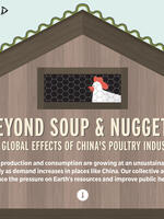 Beyond Soup and Nuggets: The Global Effect of China's Poultry Industry Brochure